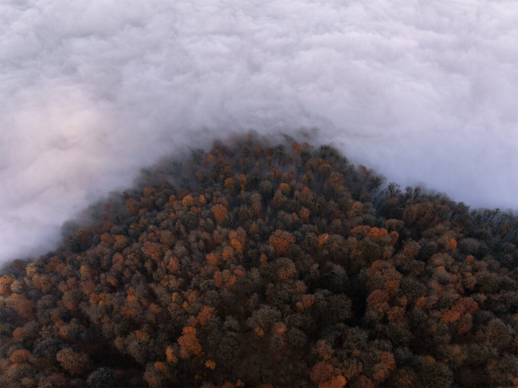 Cloud invasion