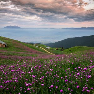 The smell of spring